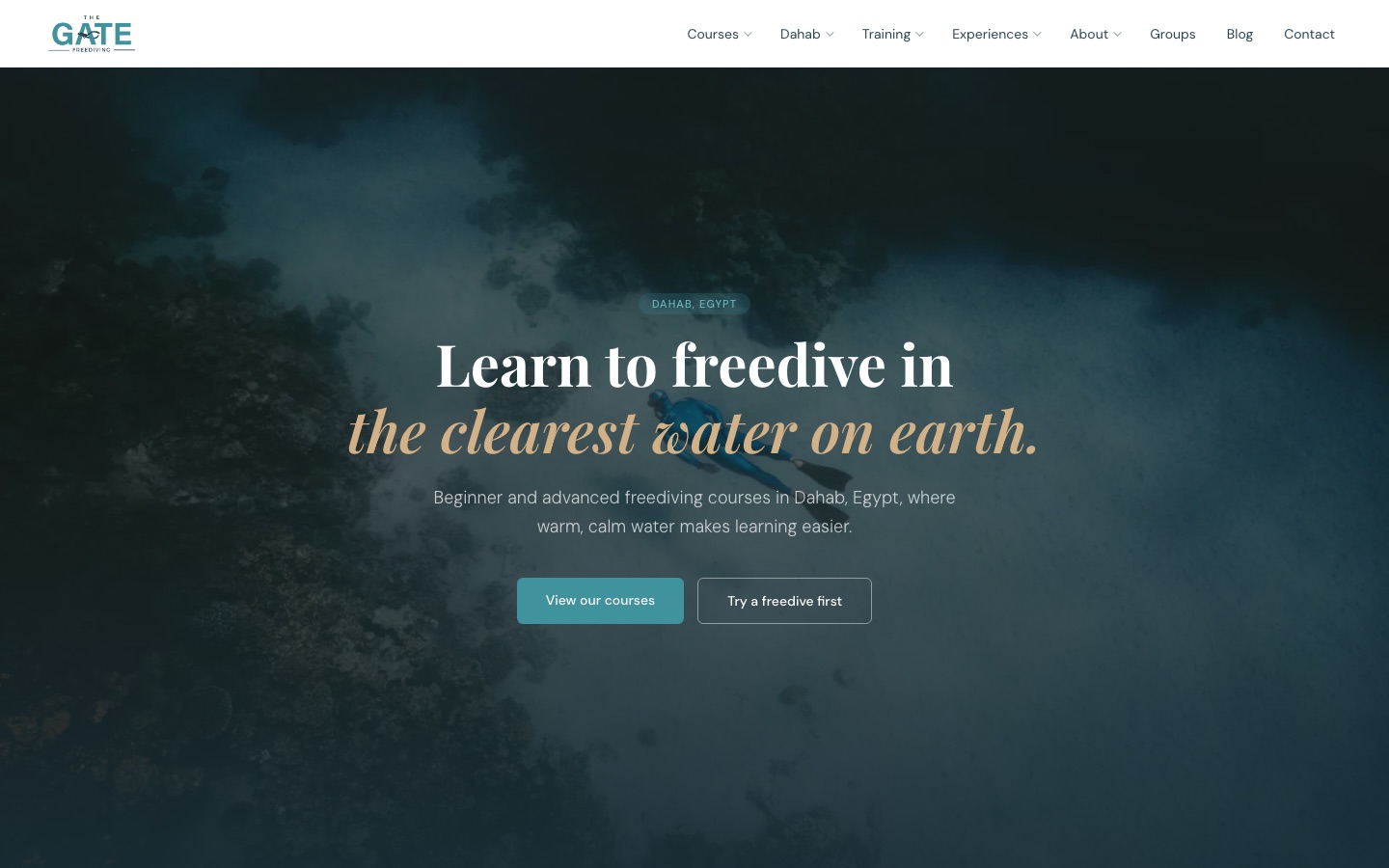 Screenshot van de homepage van thegatefreediving.com